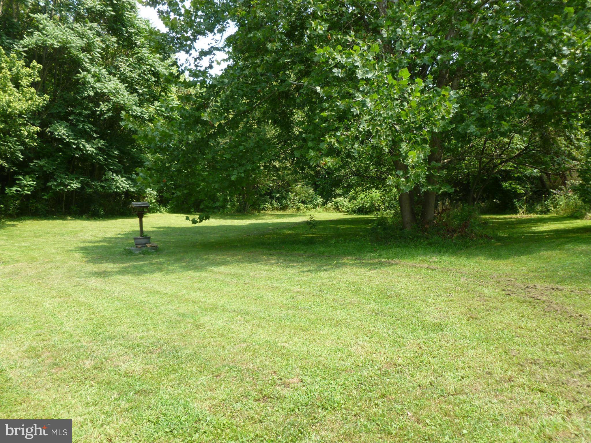 5762 Howellsville Road Front Royal, VA 22630 - Photo 5 of 22 a view of pool with a trees
