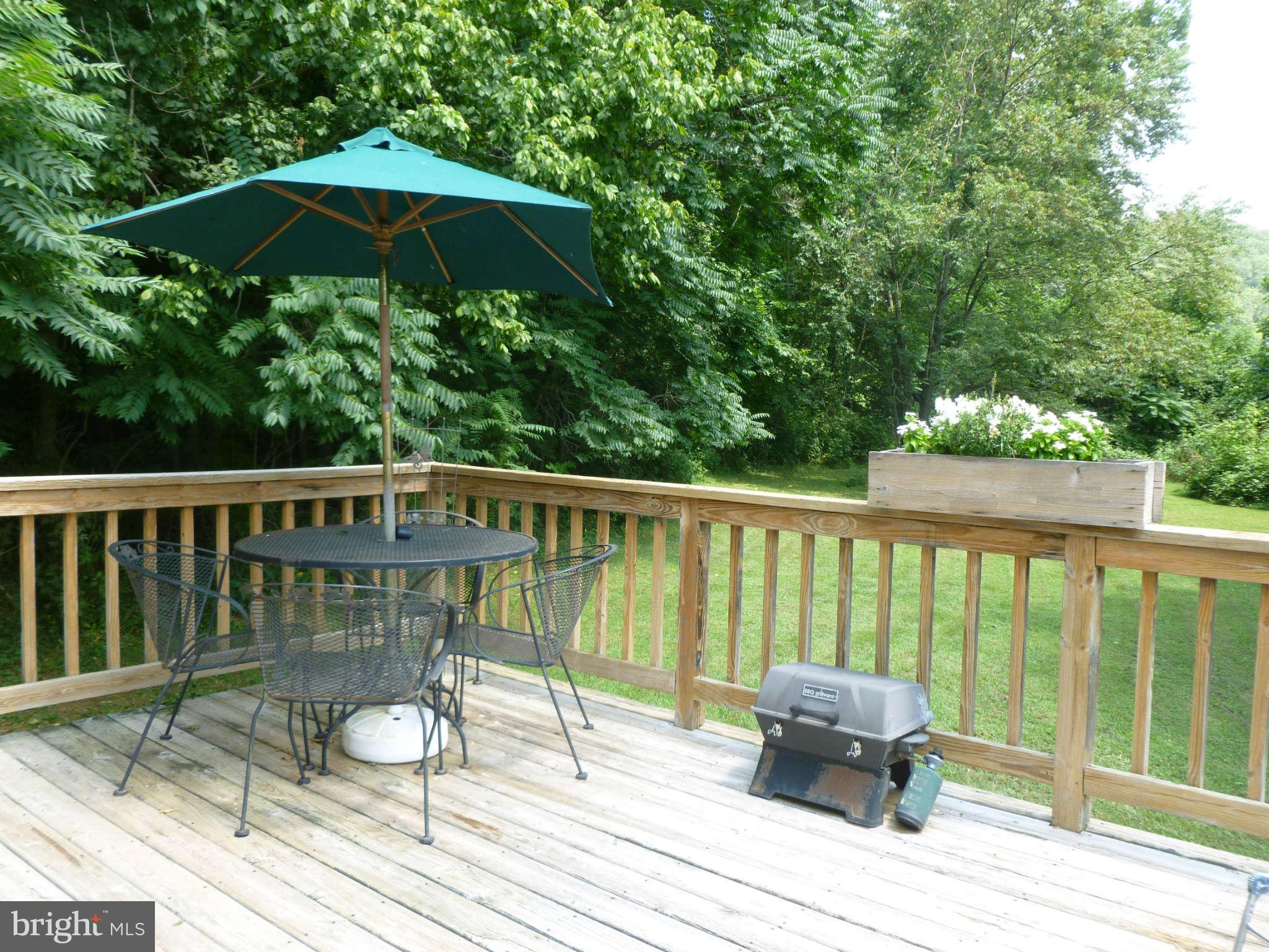 5762 Howellsville Road Front Royal, VA 22630 - Photo 8 of 22 a view of balcony with wooden floor and outdoor seating