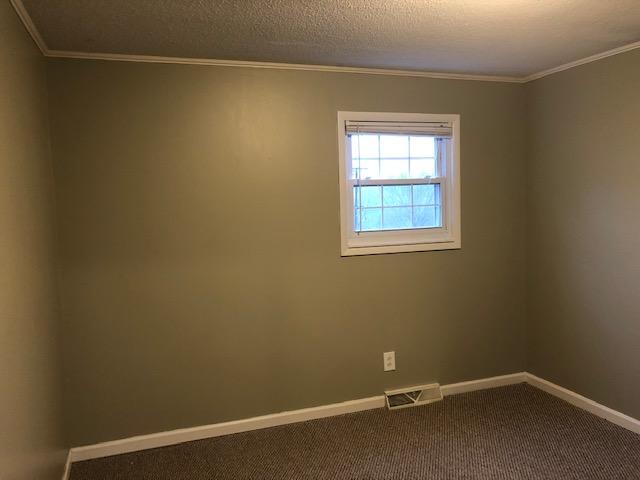 251 Shannon View Road Gray, TN 37615 - Photo 20 of 33 IMG_1958