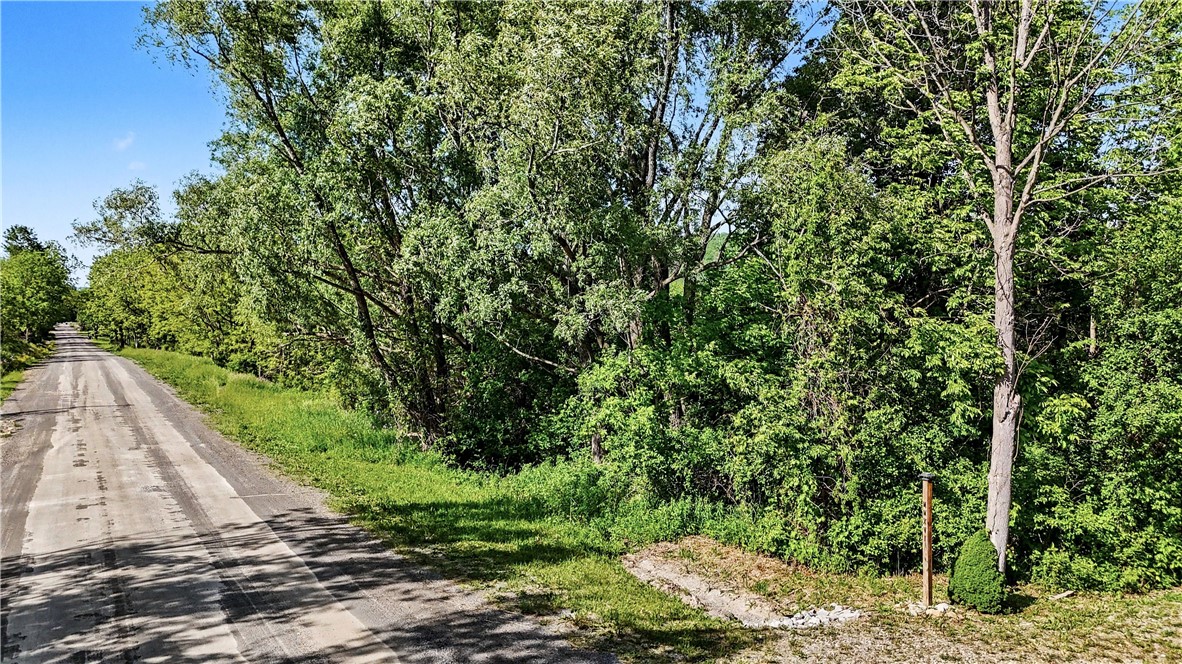 Case Road Canandaigua, NY 14424 - Photo 6 of 12
