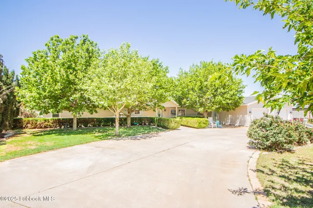 a view of a park with plants and trees
