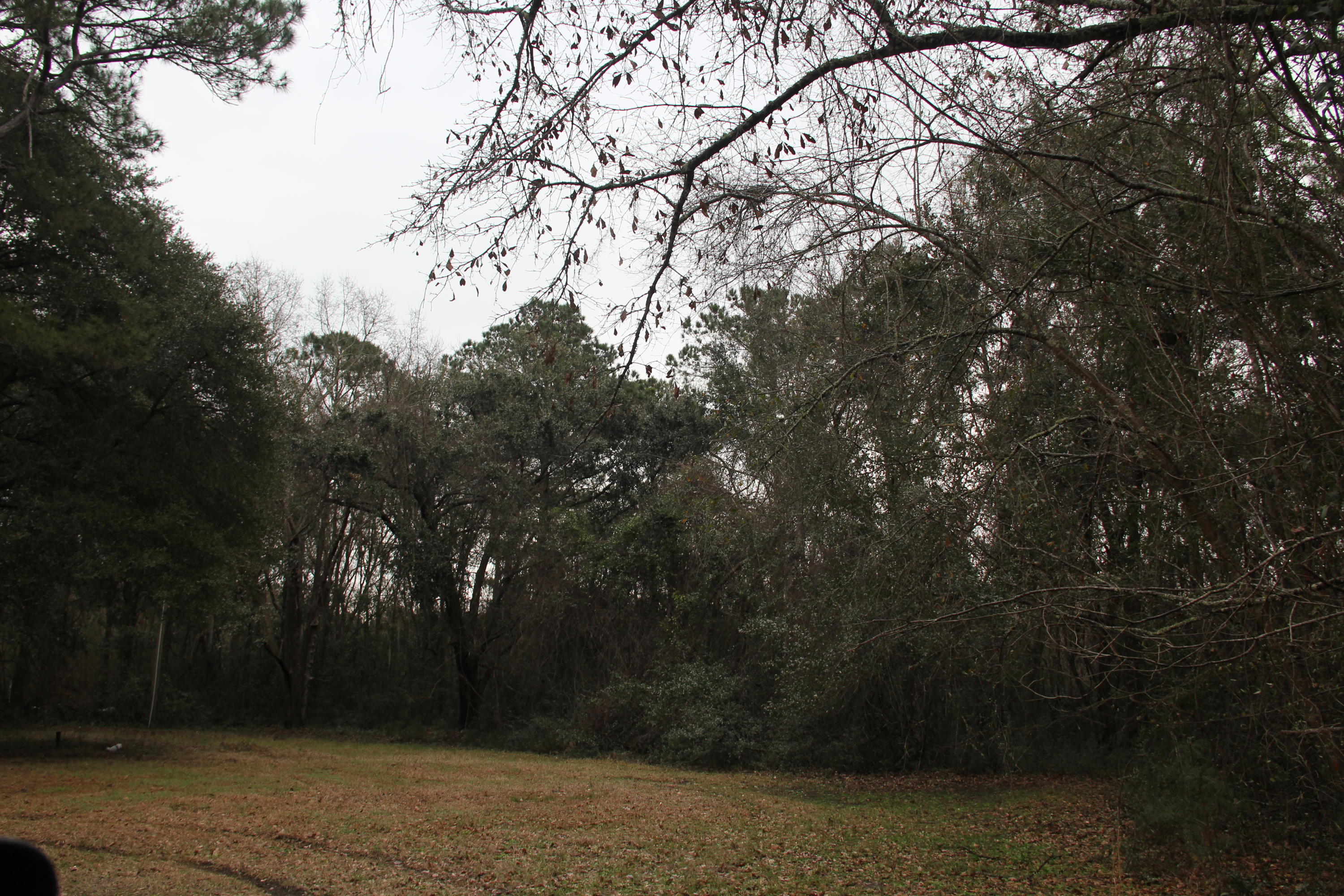 0 Lieben Road Mount Pleasant, SC 29466 - Photo 1 of 19 IMG_0911