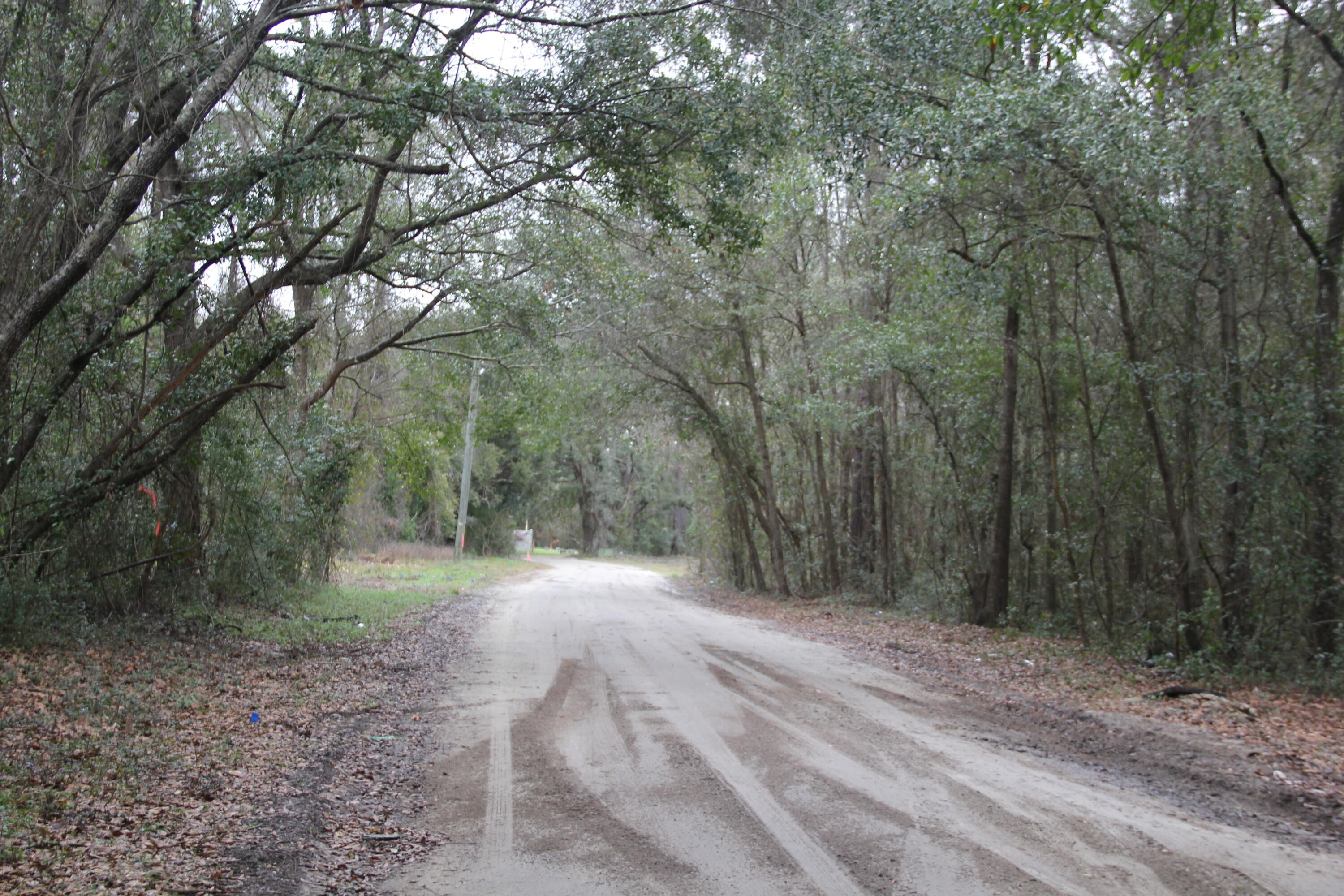 0 Lieben Road Mount Pleasant, SC 29466 - Photo 6 of 19 IMG_0910