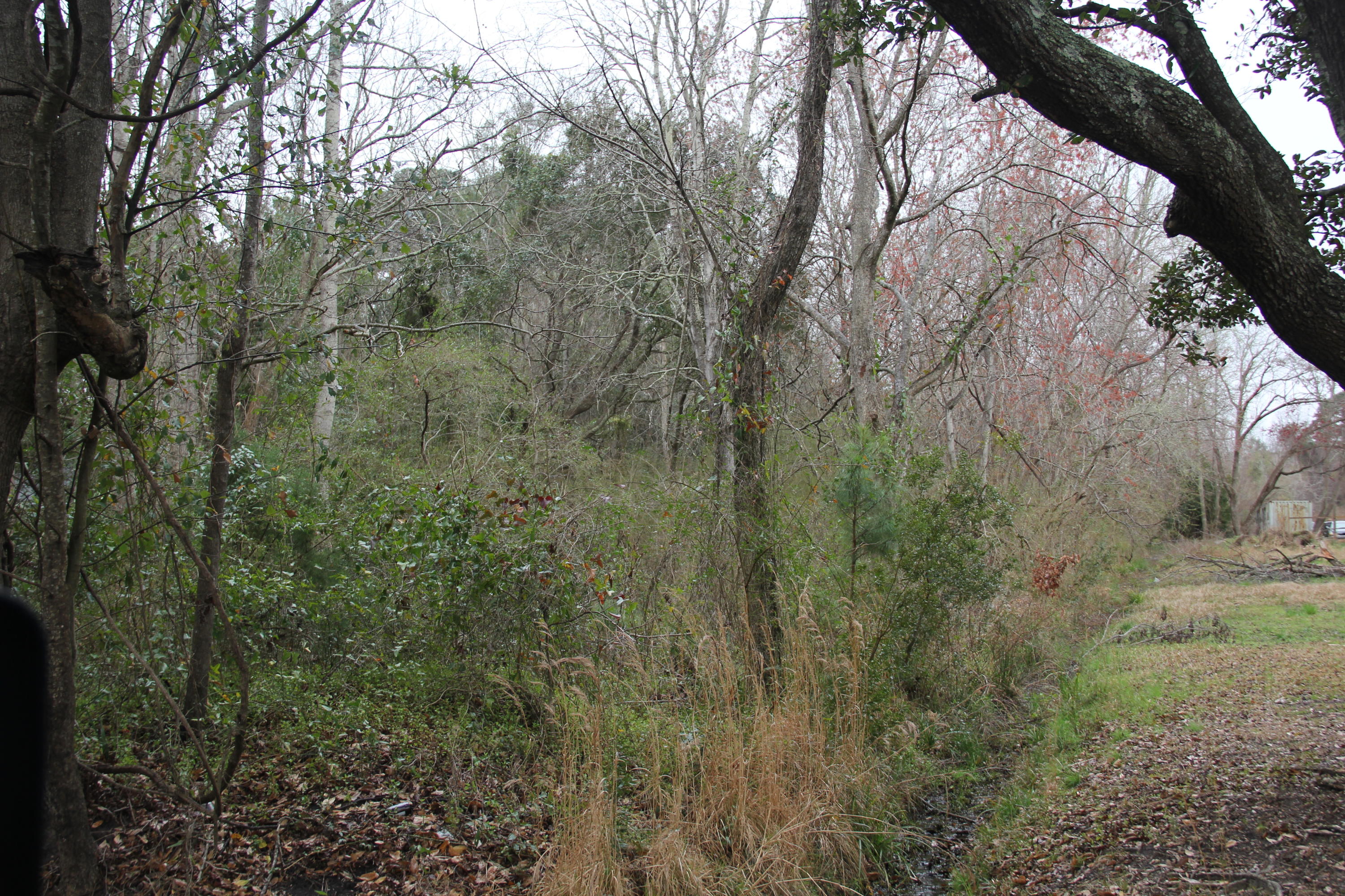 0 Lieben Road Mount Pleasant, SC 29466 - Photo 8 of 19 IMG_0913