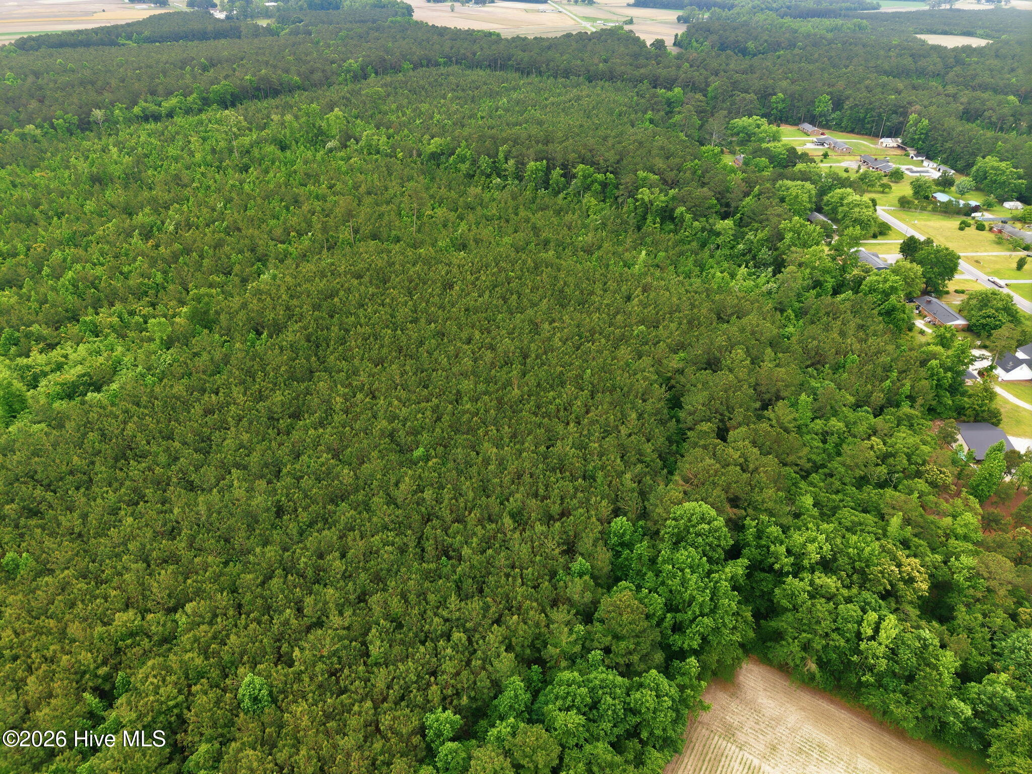 0 Off Gay Road Walstonburg, NC 27888 - Photo 7 of 11 7-web-or-mls-DJI_20260511120719_0026_D