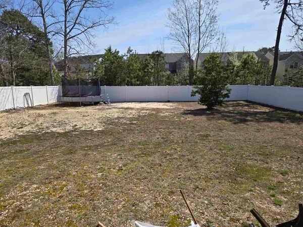 a view of backyard and tree