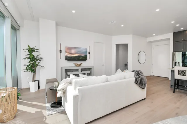 a living room with furniture a potted plant and a flat screen tv