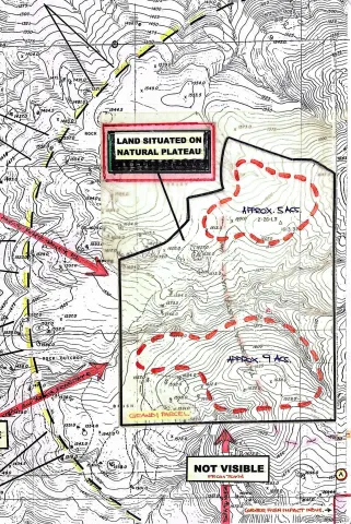 a picture of a book and a park view