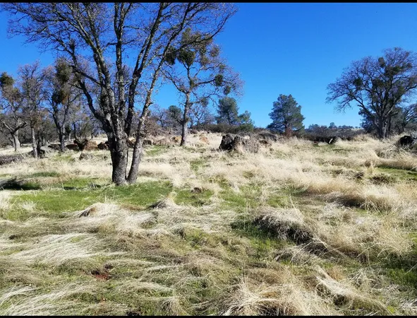 $100,000 | 0 Goodell Road, Valley Springs, CA 95252