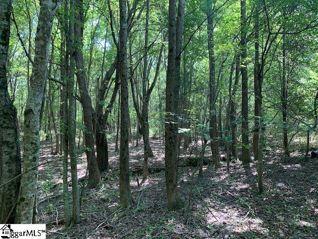 9431 Augusta Road Pelzer, SC 29669 - Photo 18 of 33