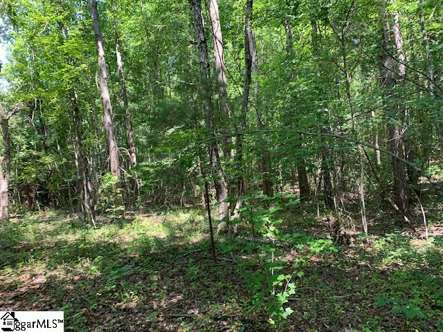 9431 Augusta Road Pelzer, SC 29669 - Photo 19 of 33