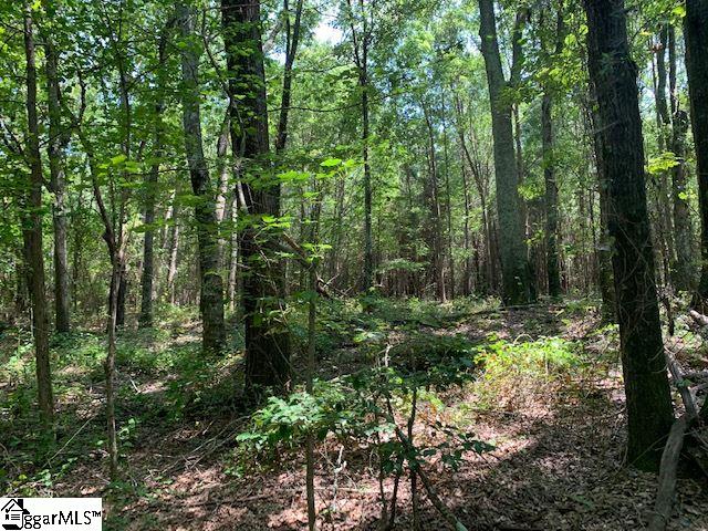 9431 Augusta Road Pelzer, SC 29669 - Photo 24 of 33