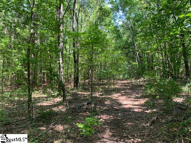 9431 Augusta Road Pelzer, SC 29669 - Photo 25 of 33