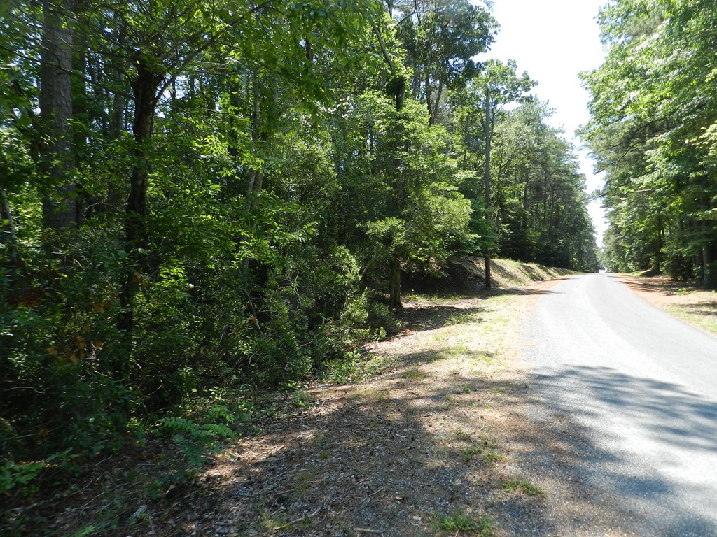Lot B6 Saltworks Road, Unit B6 Exmore, VA 23350 - Photo 6 of 28
