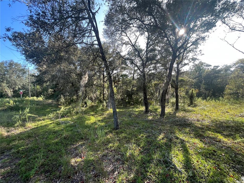 Sands Point Dunnellon, FL 34431 - Photo 1 of 1 Gallery Image 1