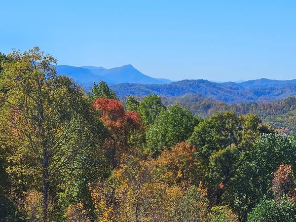 $176,865 | Lot#12 Mayito Lane, Unit 12, Mouth Of Wilson, VA 24363