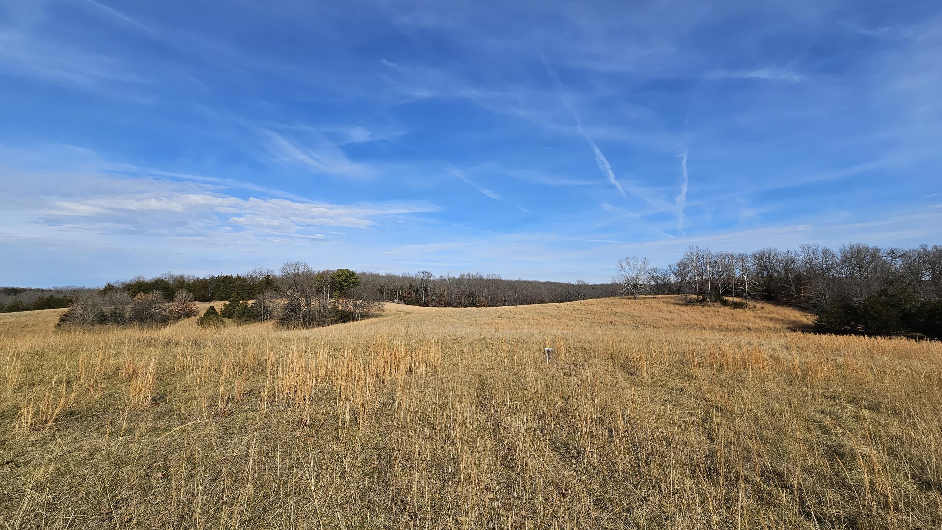 31822 County Road 95-240 Drury, MO 65638 - Photo 1 of 1 Land for Sale