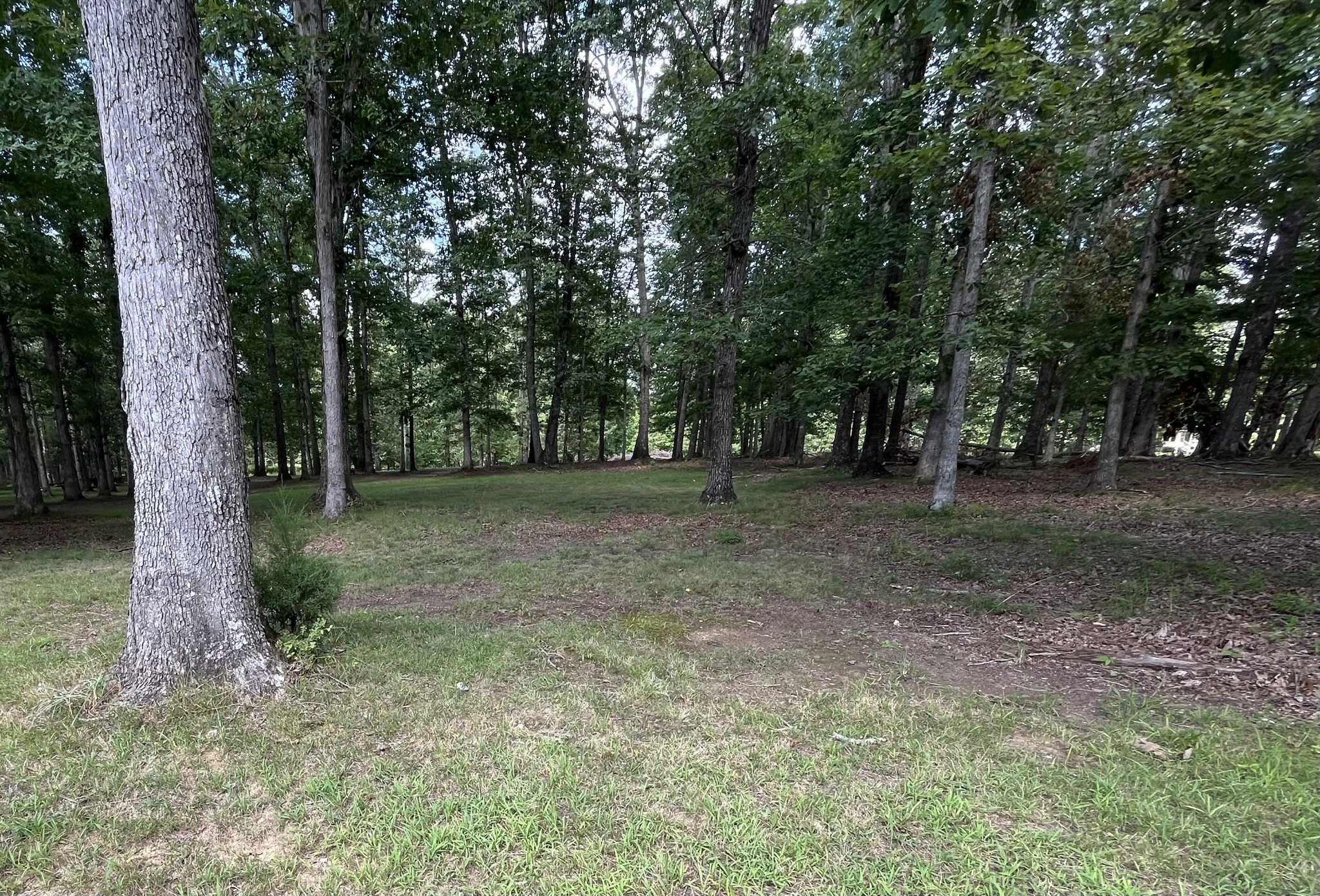 214 Blackberry Farm Road Monteagle, TN 37356 - Photo 2 of 2 a view of outdoor space with trees