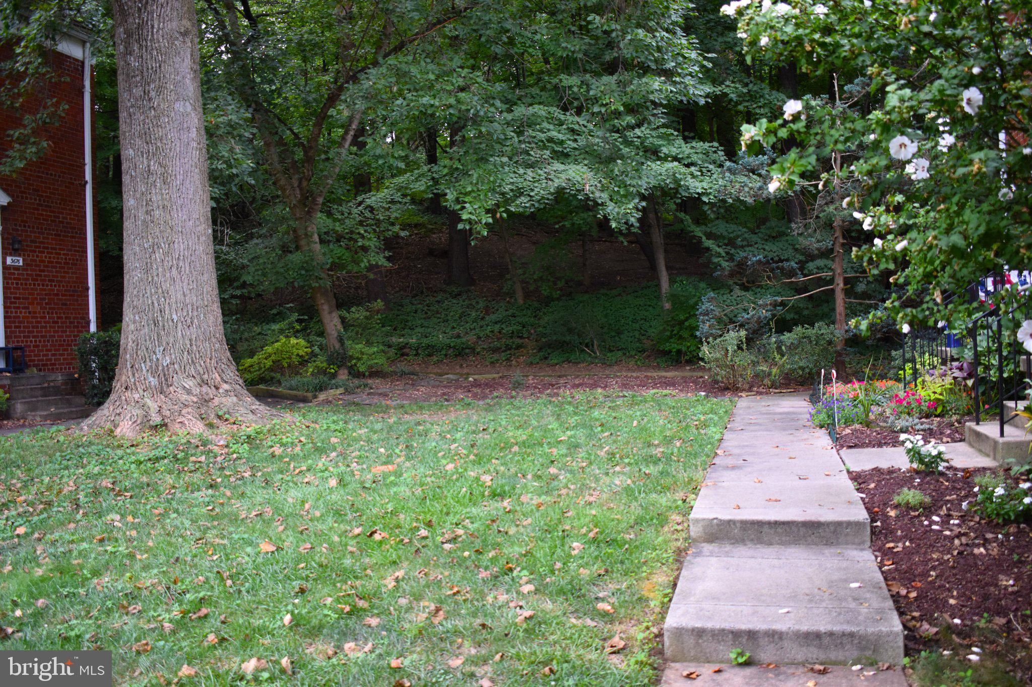3706 Gunston Road Alexandria, VA 22302 - Photo 3 of 32 Lush greenery with a serene pathway.