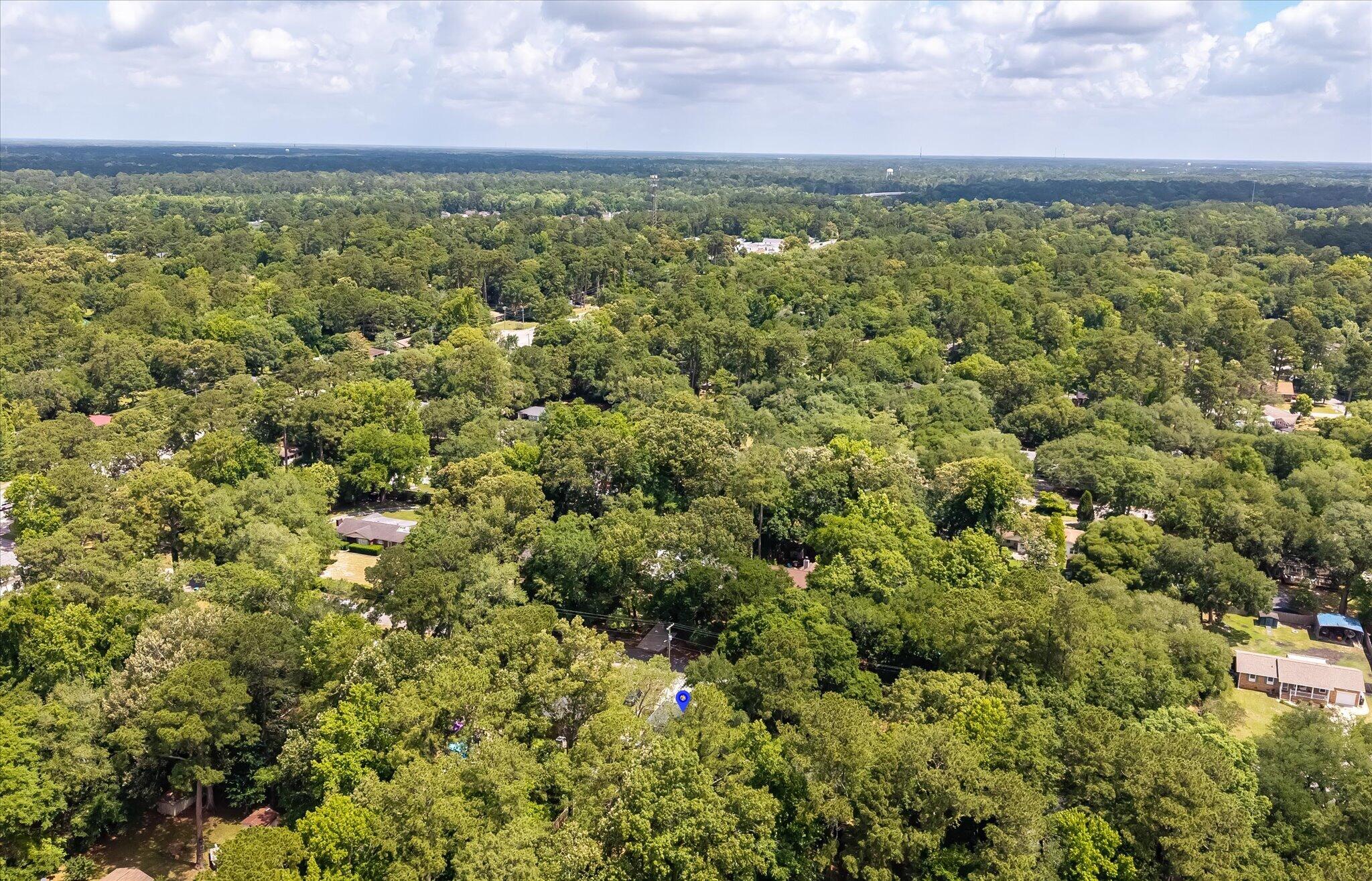 112 Live Oak Road Summerville, SC 29485 - Photo 61 of 63 Aerial