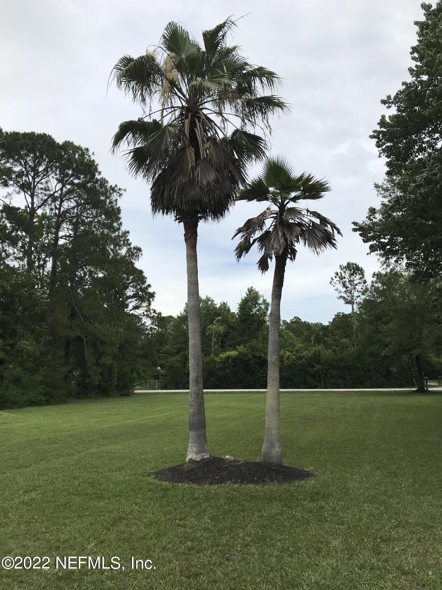 1376 Marlee Road, Unit 1 St. Johns, FL 32259 - Photo 50 of 50 Palm Trees in Front Yard