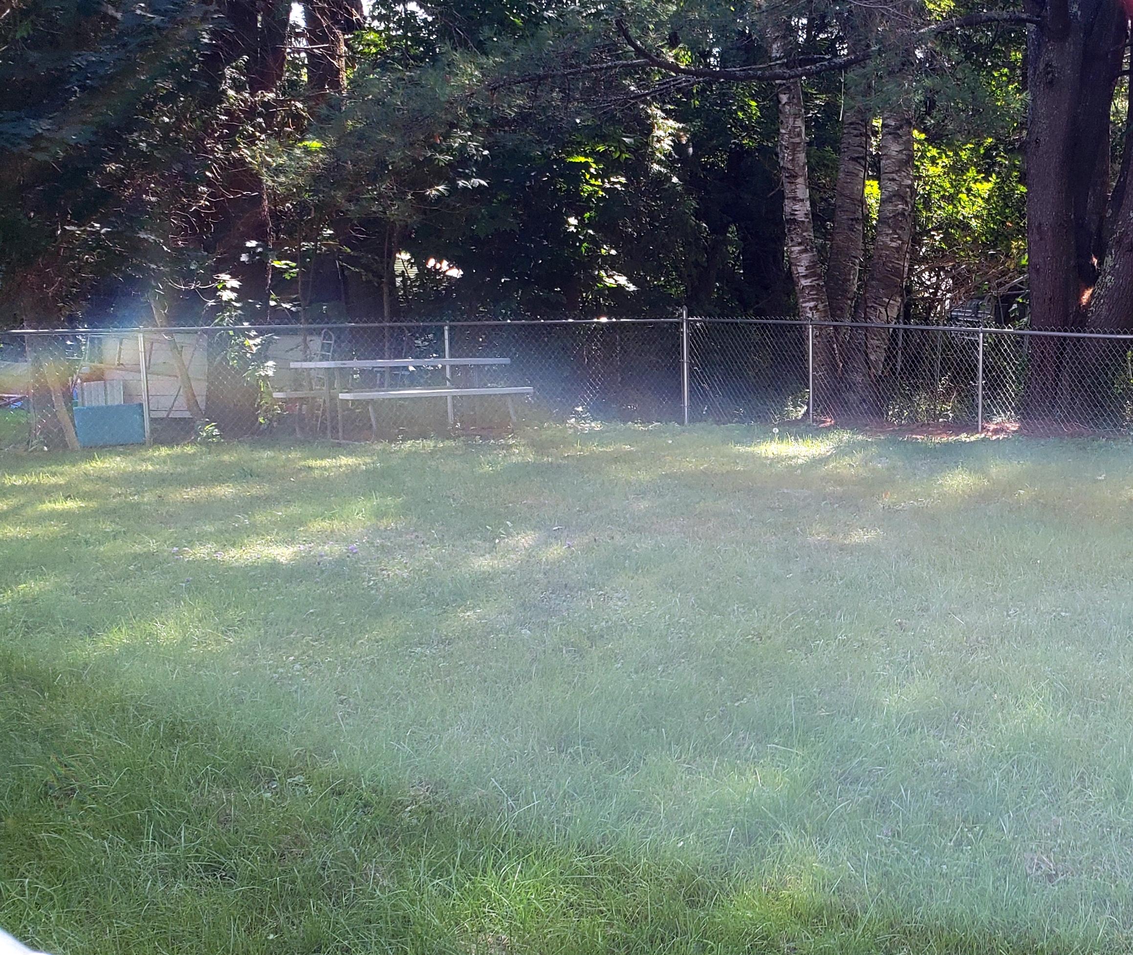 90 Belgrade Road Oakland, ME 04963 - Photo 14 of 23 Fenced in back yard