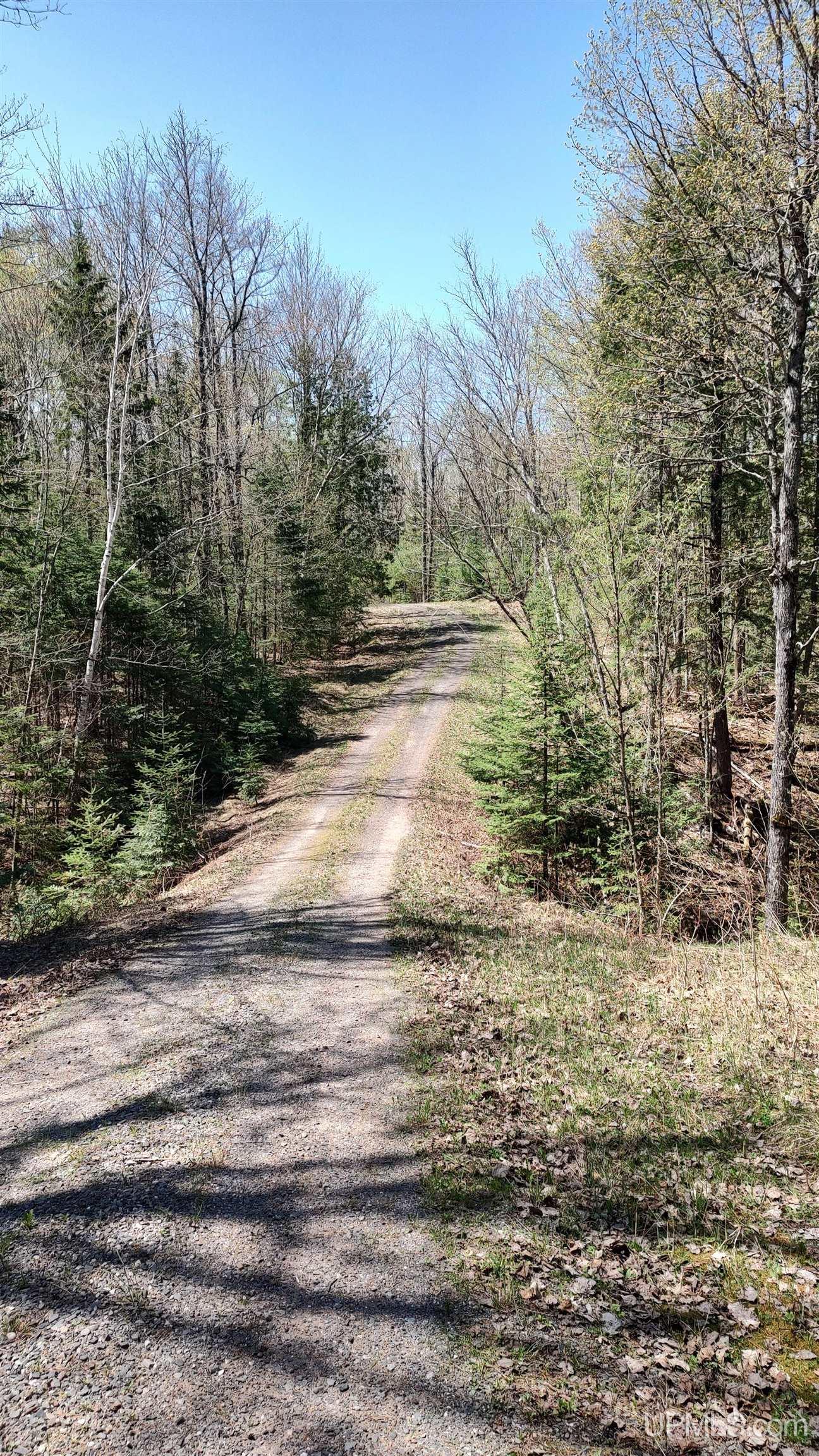 Tbd Tbd Road Pelkie, MI 49958 - Photo 44 of 51