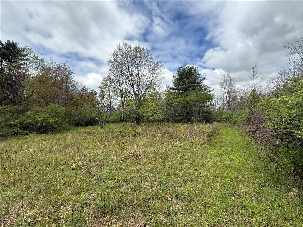 Caswell Road Freeville, NY 13068 - Photo 13 of 47