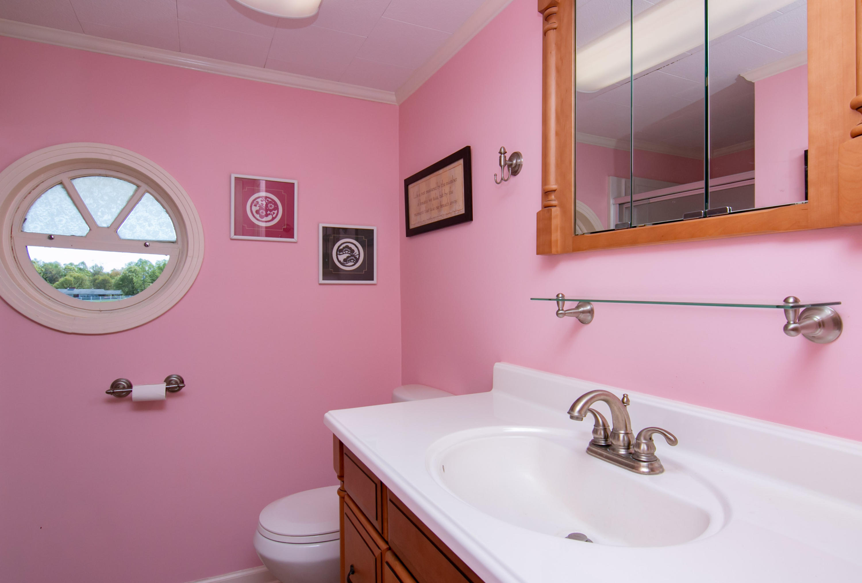 3257 Sago Road Chatham, VA 24531 - Photo 52 of 94 a bathroom with a sink a toilet and a mirror