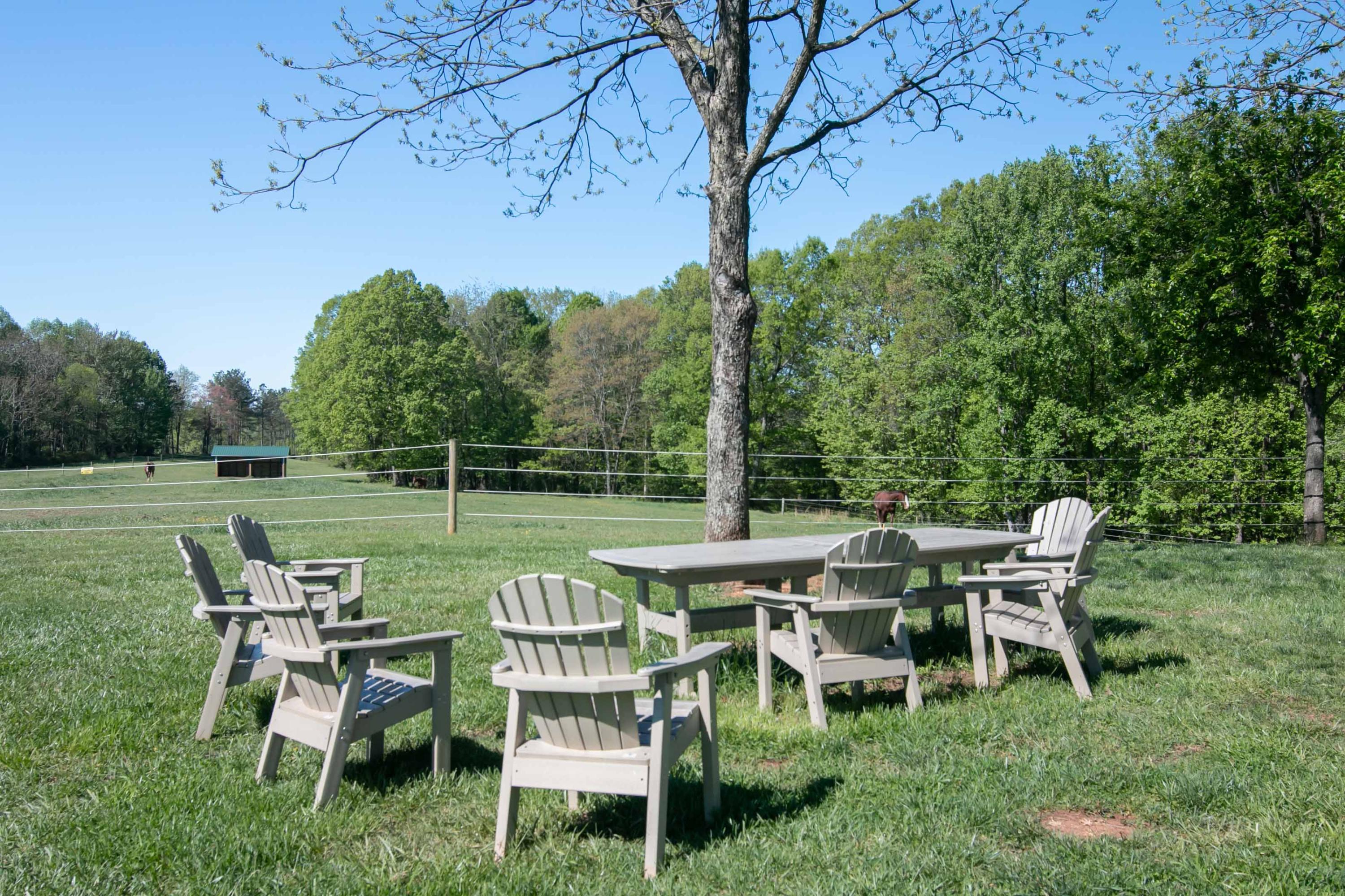 3257 Sago Road Chatham, VA 24531 - Photo 71 of 94 img_0590