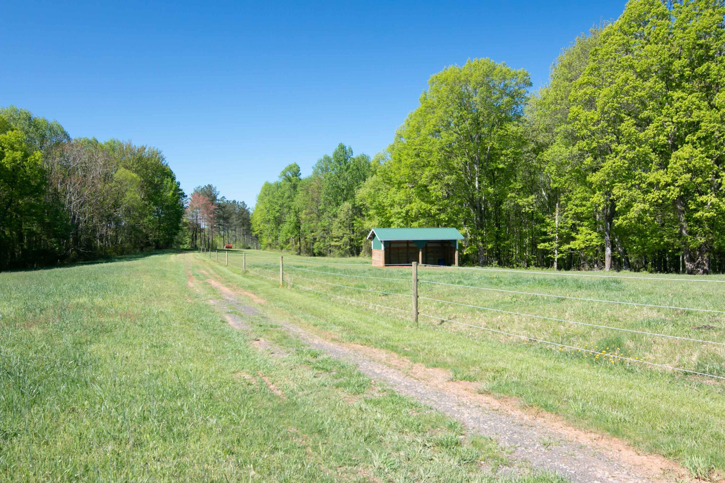 3257 Sago Road Chatham, VA 24531 - Photo 76 of 94 a backyard of a house with lots of green space