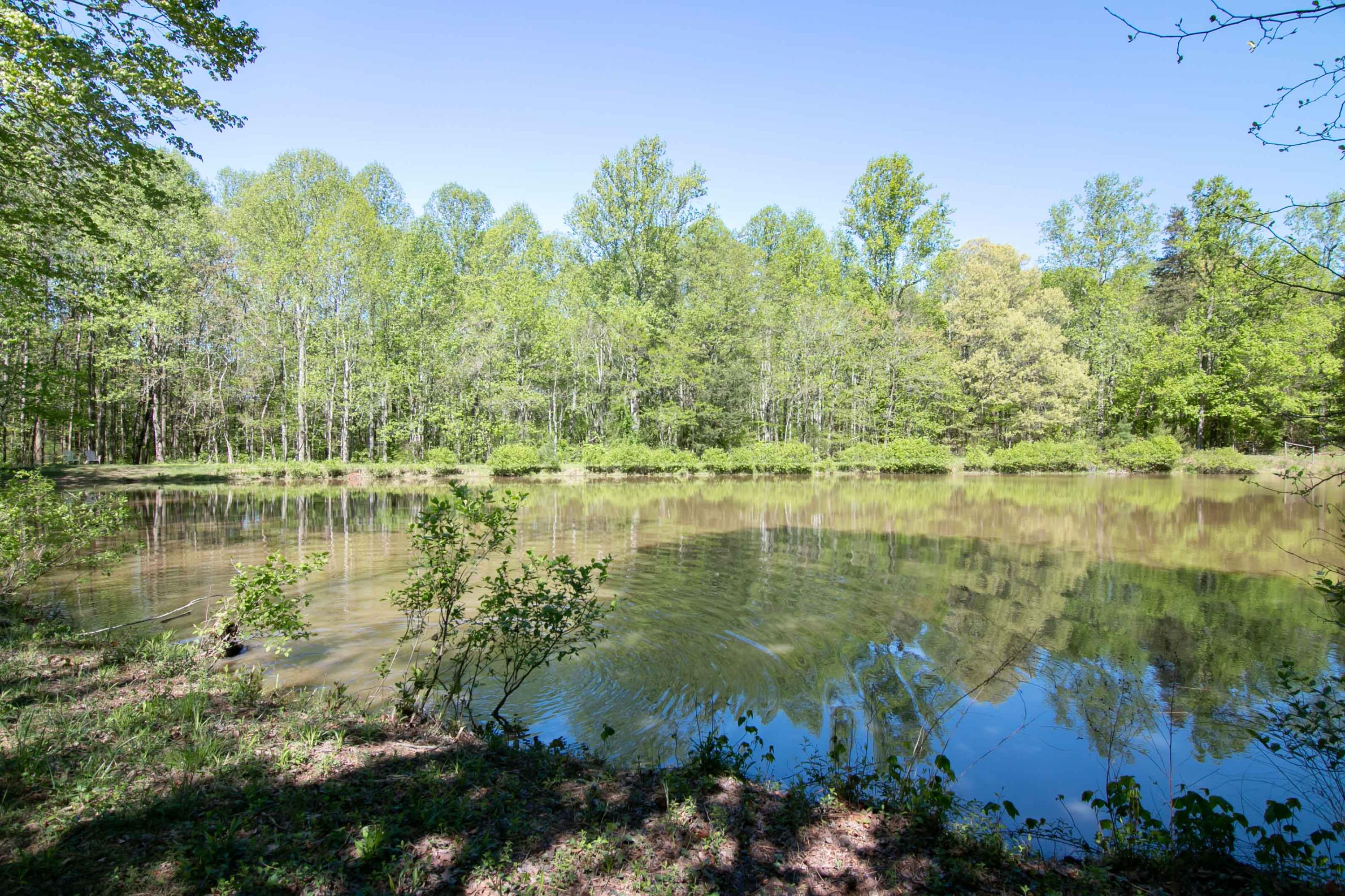 3257 Sago Road Chatham, VA 24531 - Photo 79 of 94 img_0644