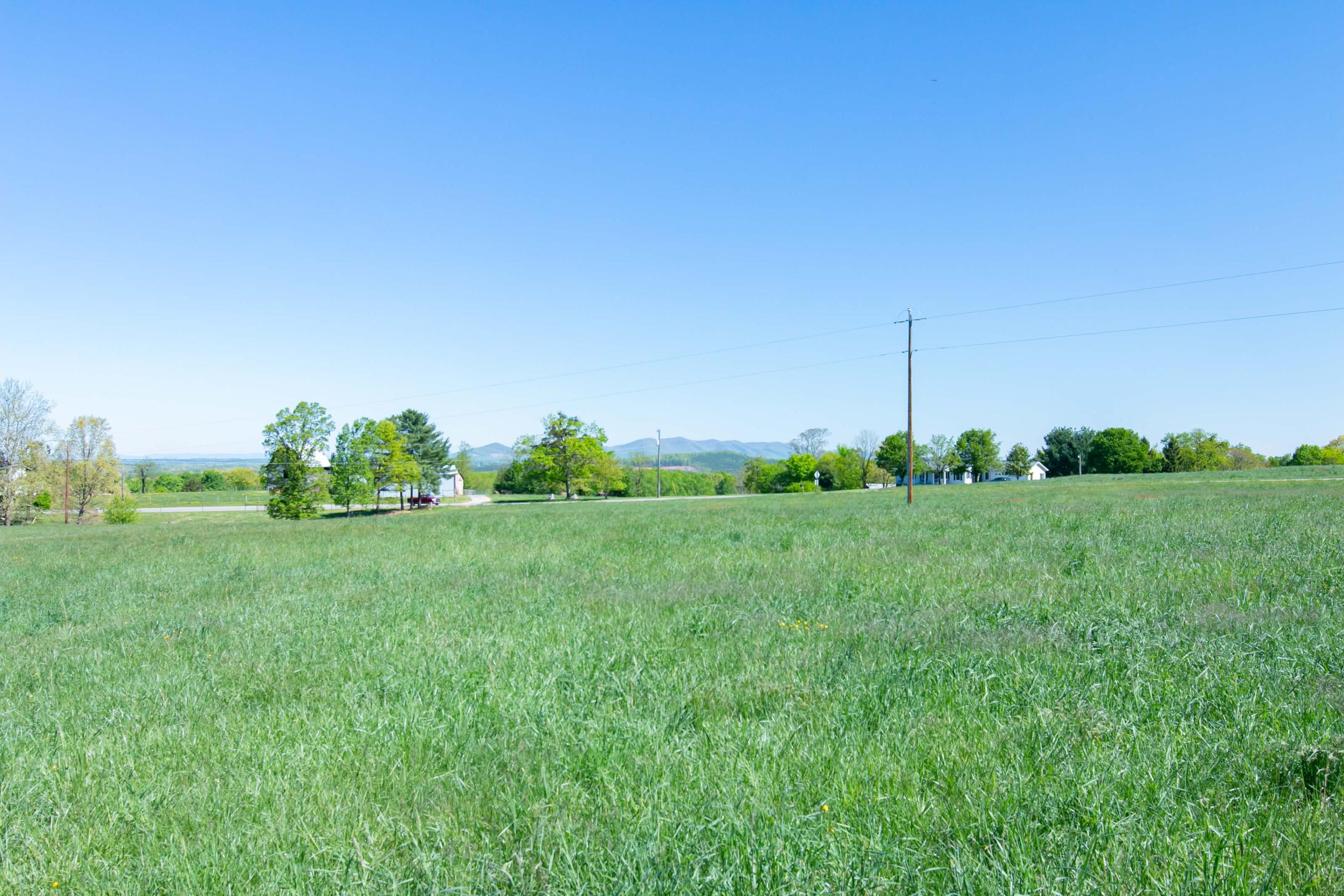 3257 Sago Road Chatham, VA 24531 - Photo 82 of 94 a view of a garden with a building in the background
