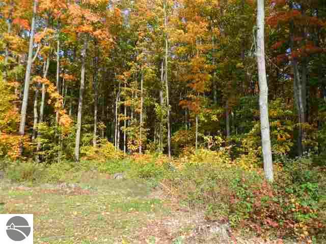 1293 West Sharon Road Fife Lake, MI 49633 - Photo 26 of 46 1740200-25.JPG