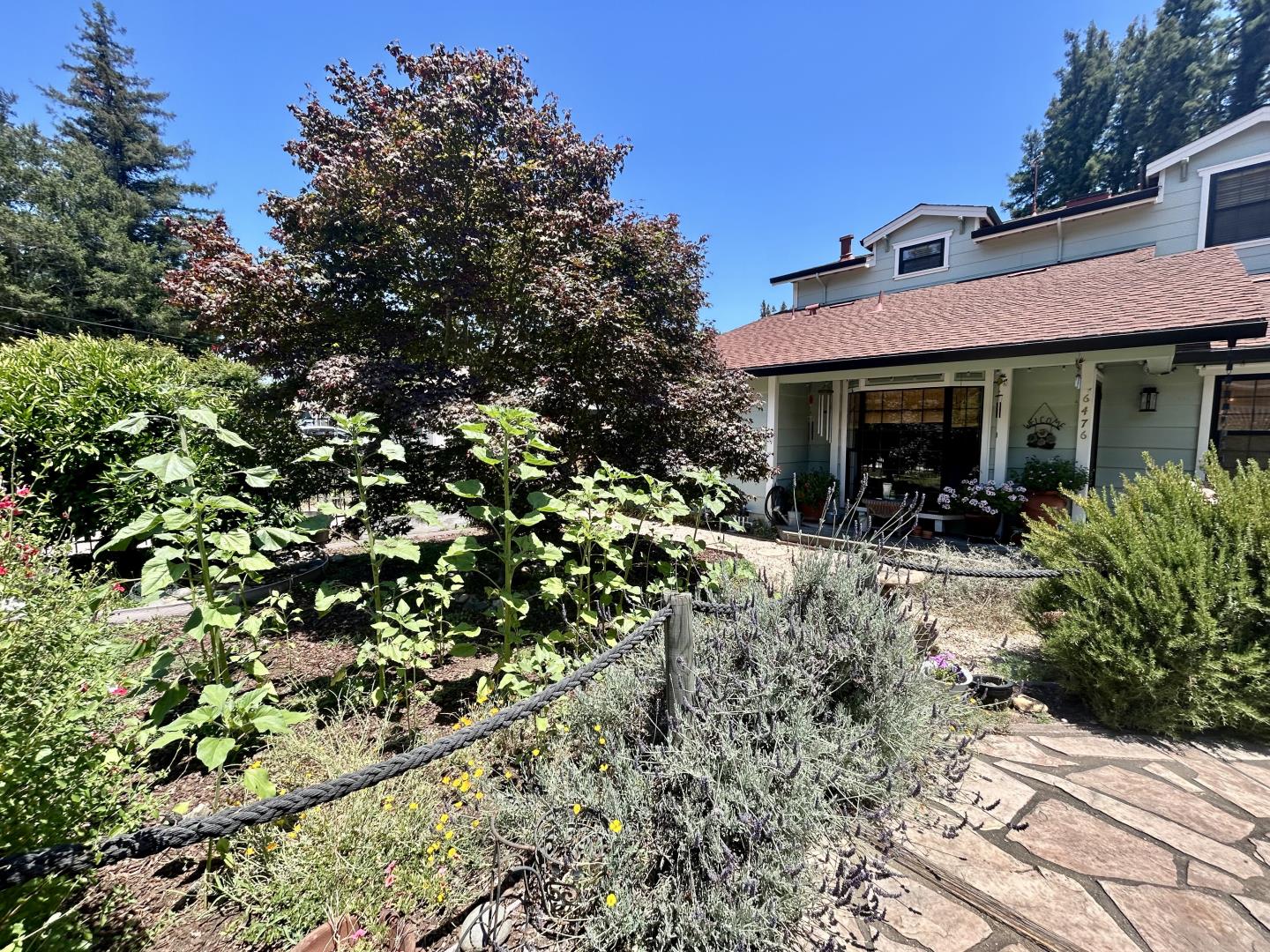 6476 Cooper Street Felton, CA 95018 - Photo 36 of 40