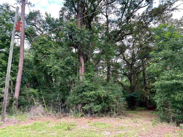 $42,000 | 185 Pixie Circle, Crawfordville, FL 32327