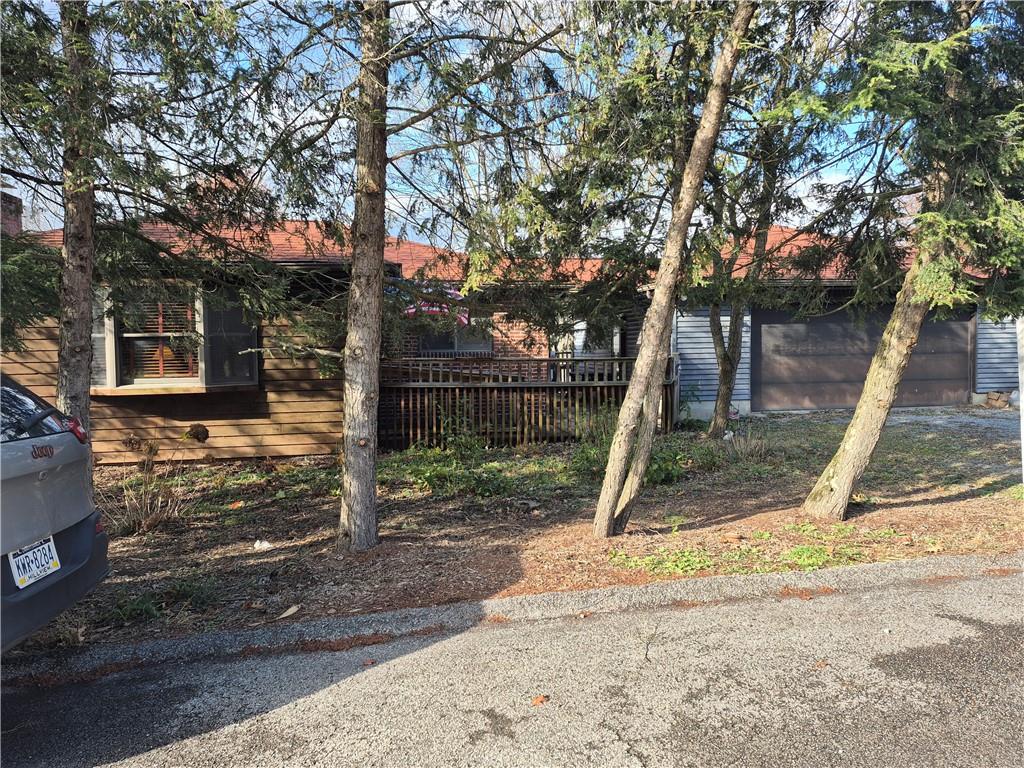 a view of a yard with a tree