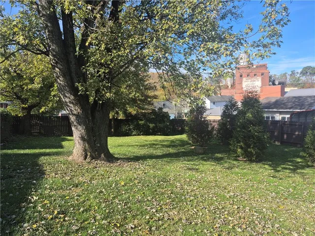 a view of a garden with a tree