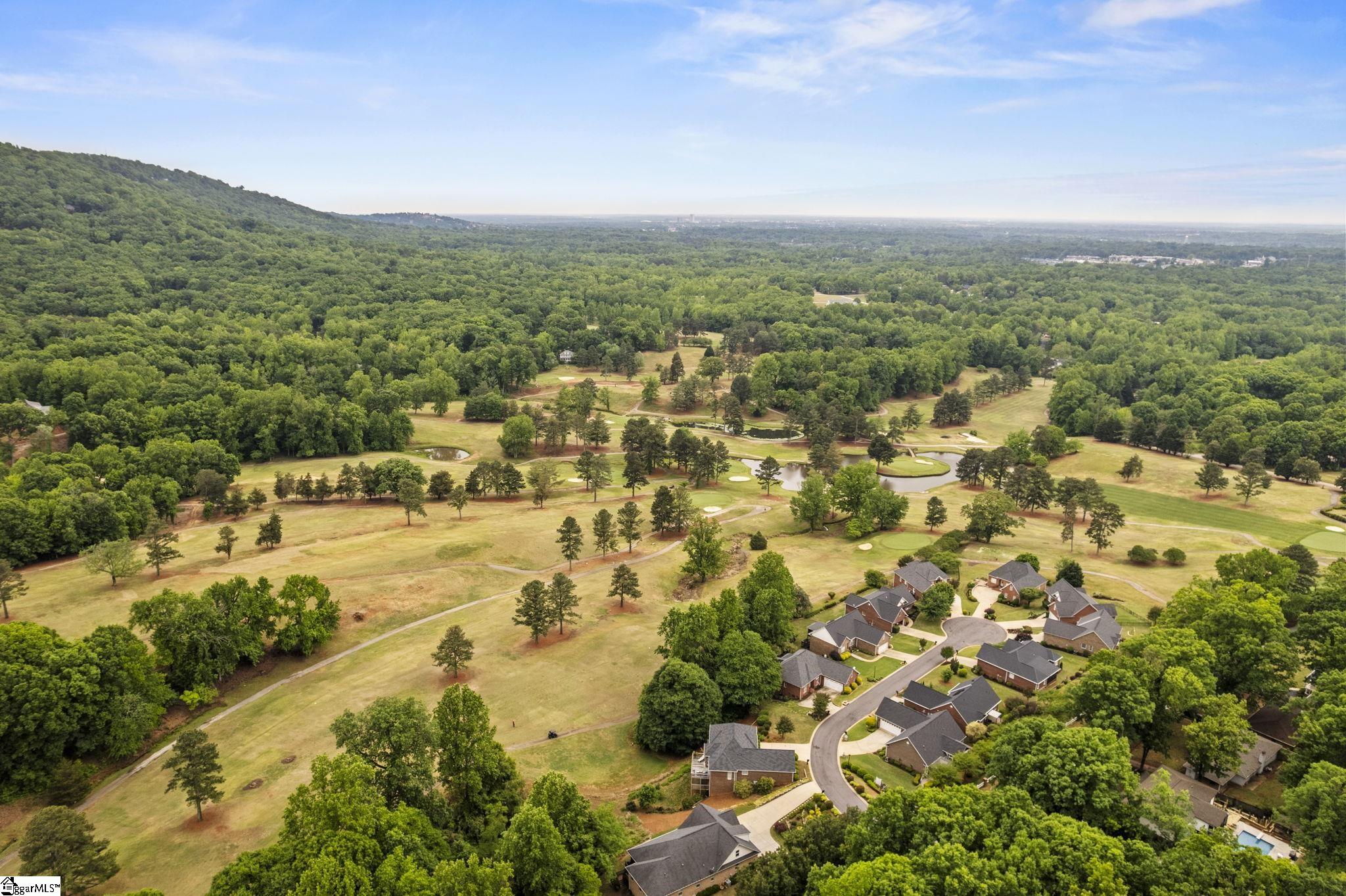 9 Belle Terre Court Greenville, SC 29609 - Photo 37 of 46