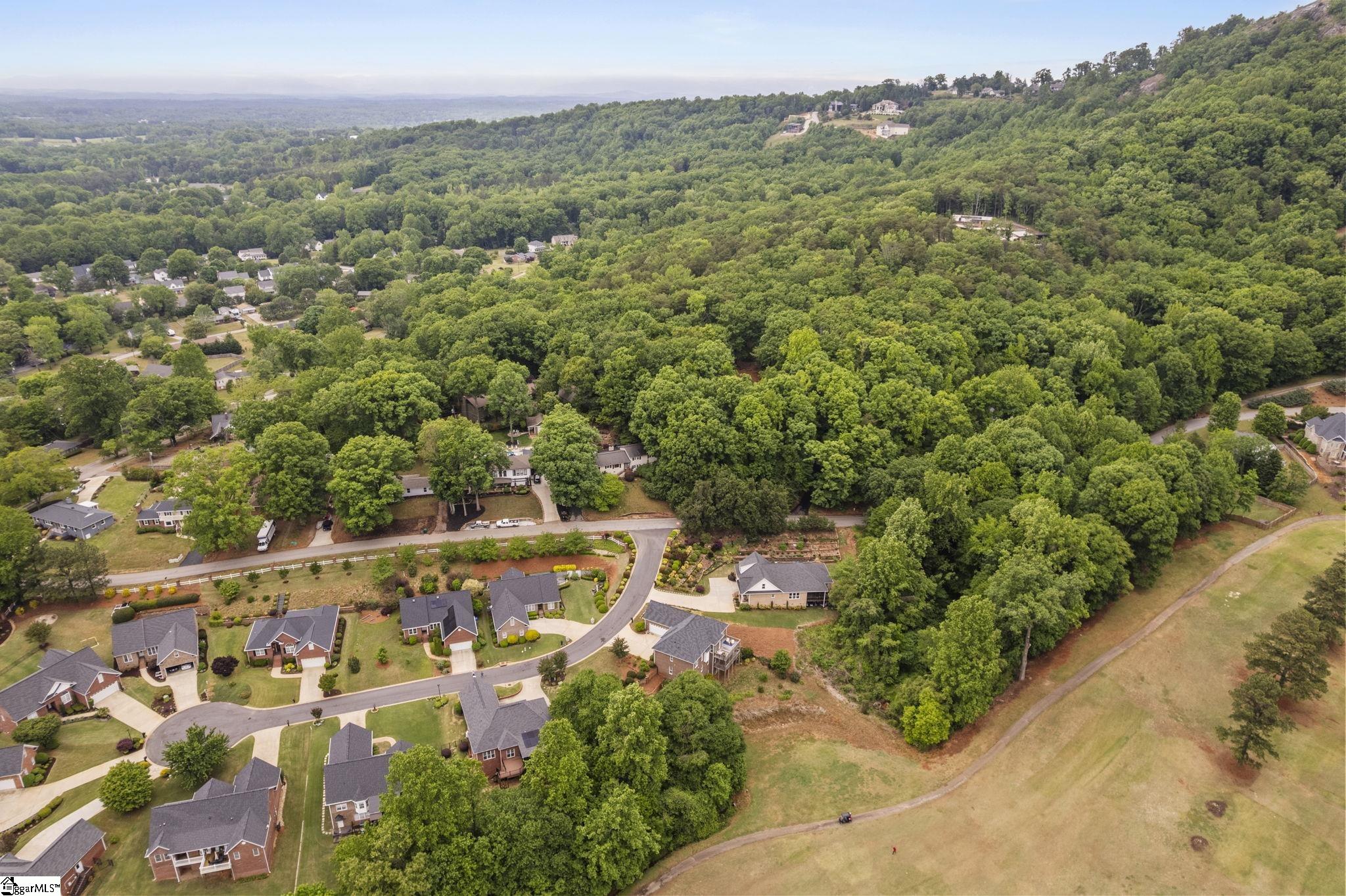 9 Belle Terre Court Greenville, SC 29609 - Photo 38 of 46