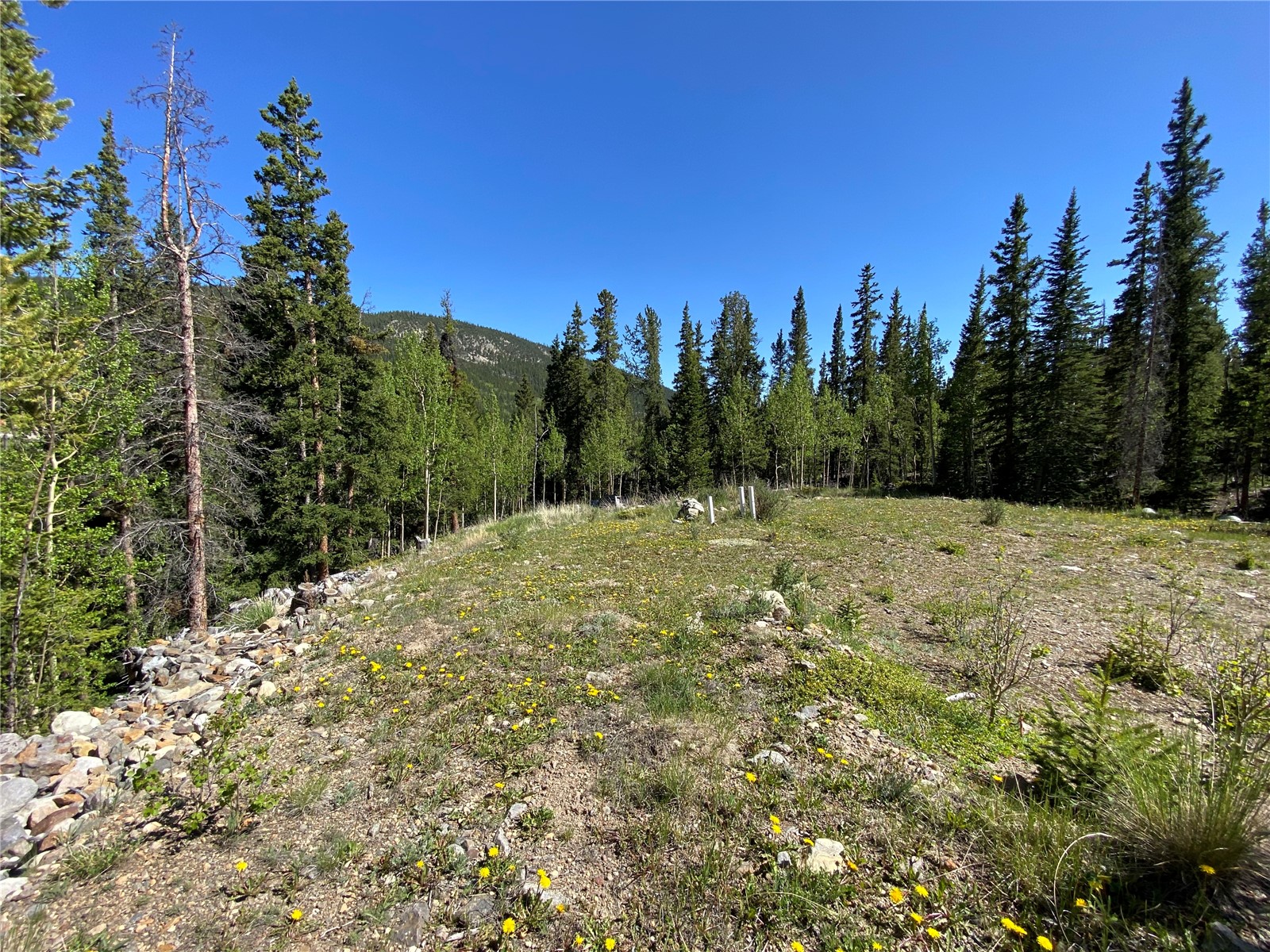 522 Quartzville Road Alma, CO 80420 - Photo 22 of 46