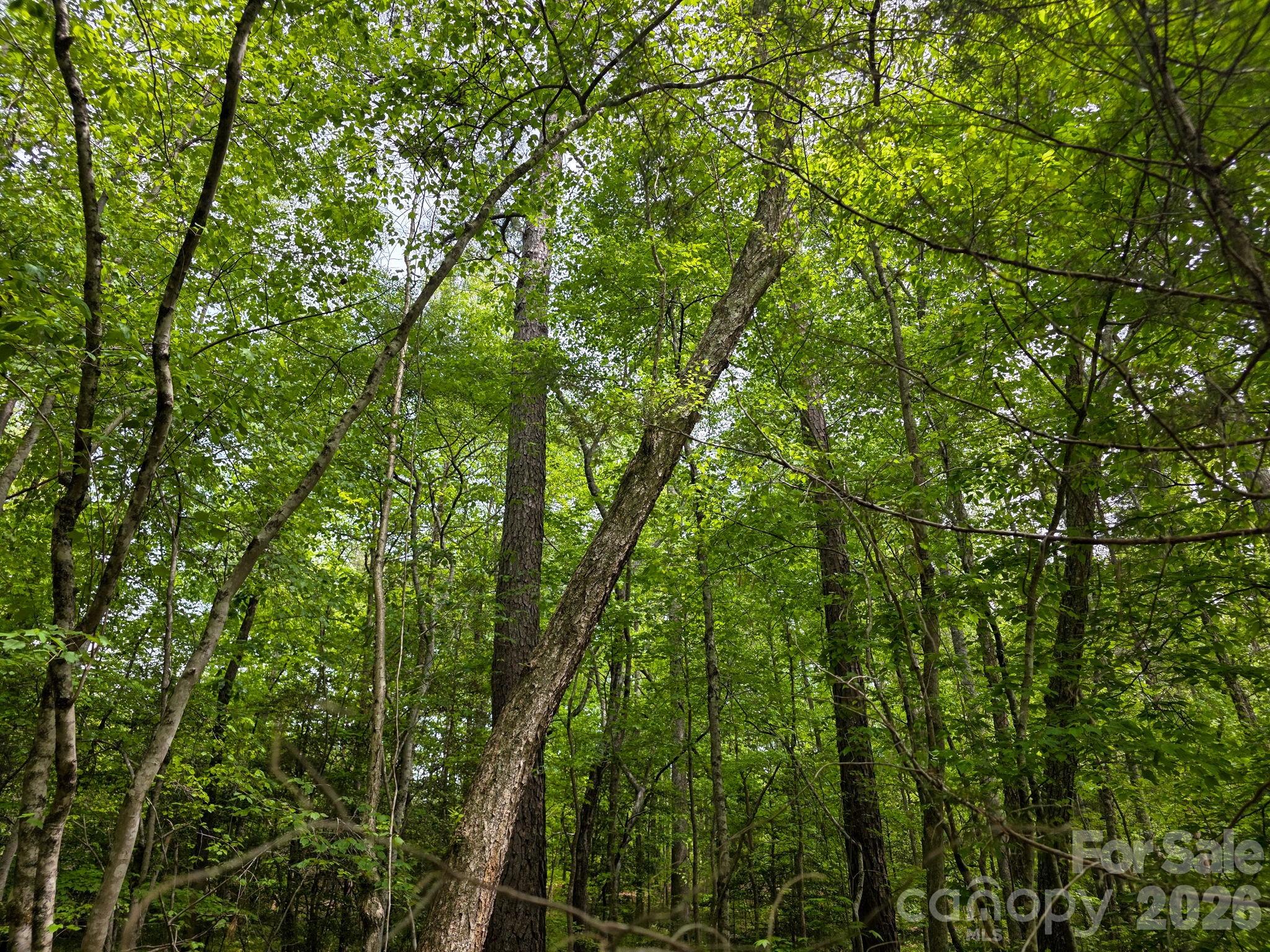 0 Romey Campbell Road Ellenboro, NC 28040 - Photo 21 of 41