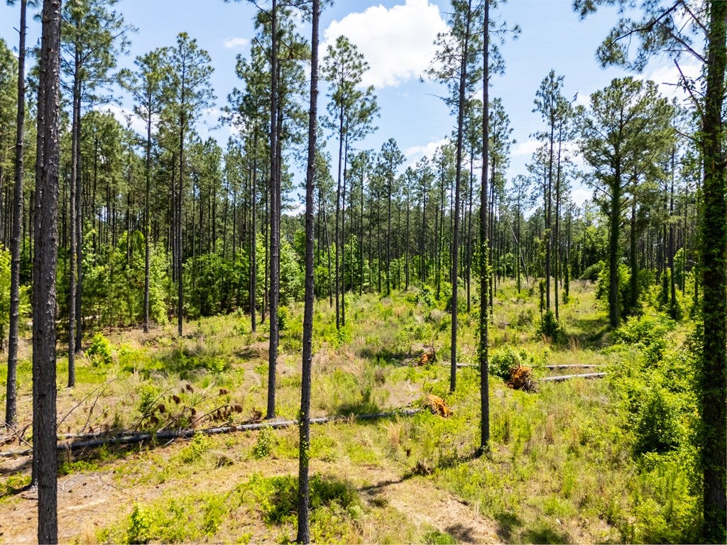 5555 Boyette Road Hahira, GA 31632 - Photo 56 of 56 Gallery Image 56