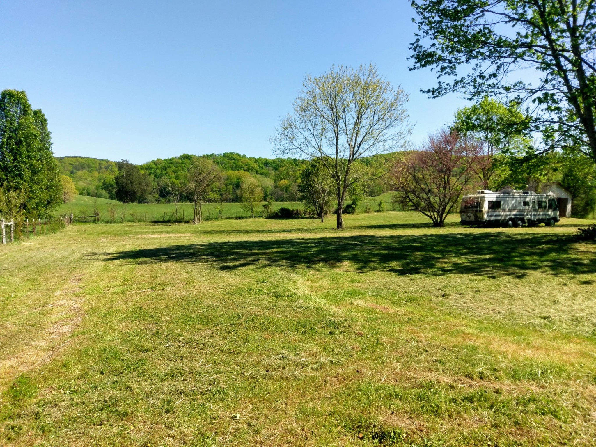 304 Cade Road Ten Mile, TN 37880 - Photo 15 of 19 a view of a green yard with an trees