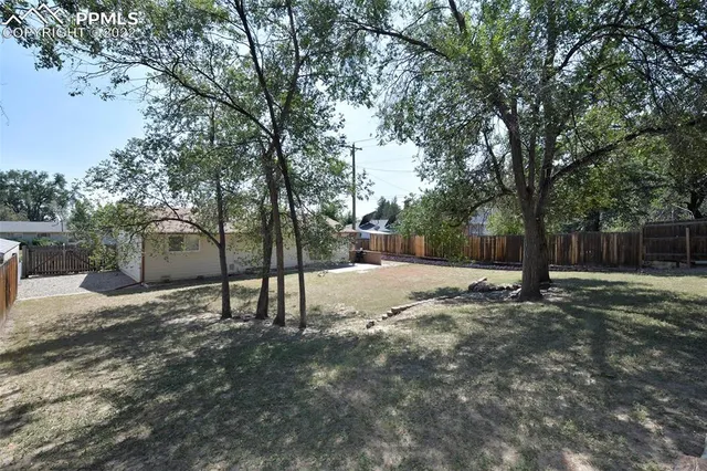 a view of backyard with tree