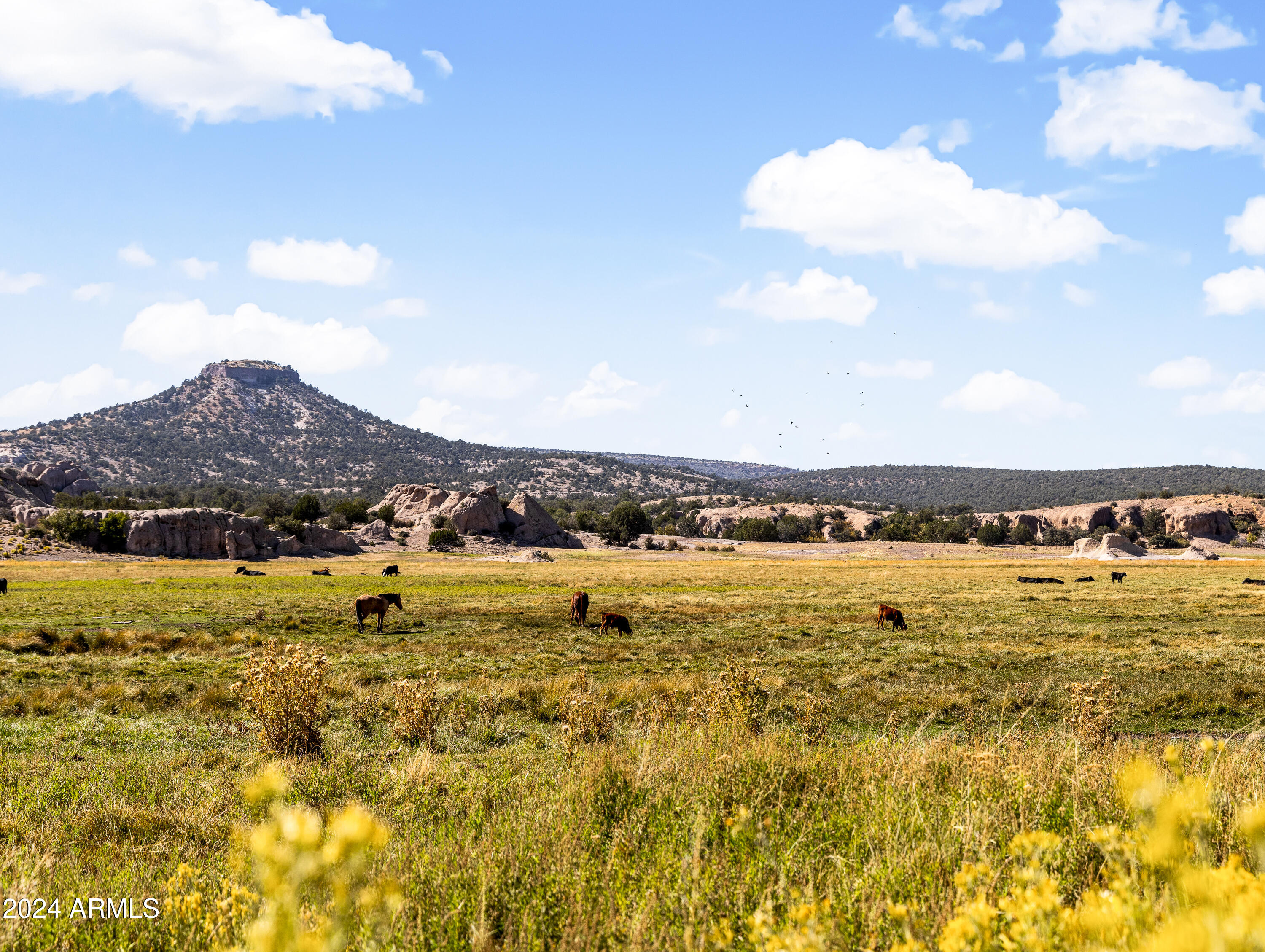 4820 East Perkinsville Road Chino Valley, AZ 86323 - Photo 101 of 128 Day 2-79