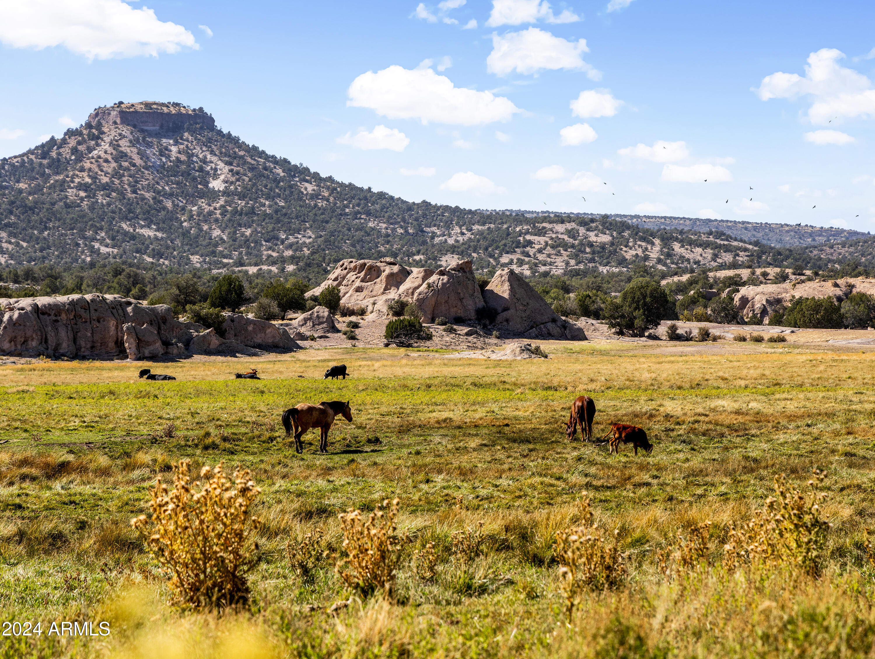 4820 East Perkinsville Road Chino Valley, AZ 86323 - Photo 104 of 128 a view of a lake with a mountain