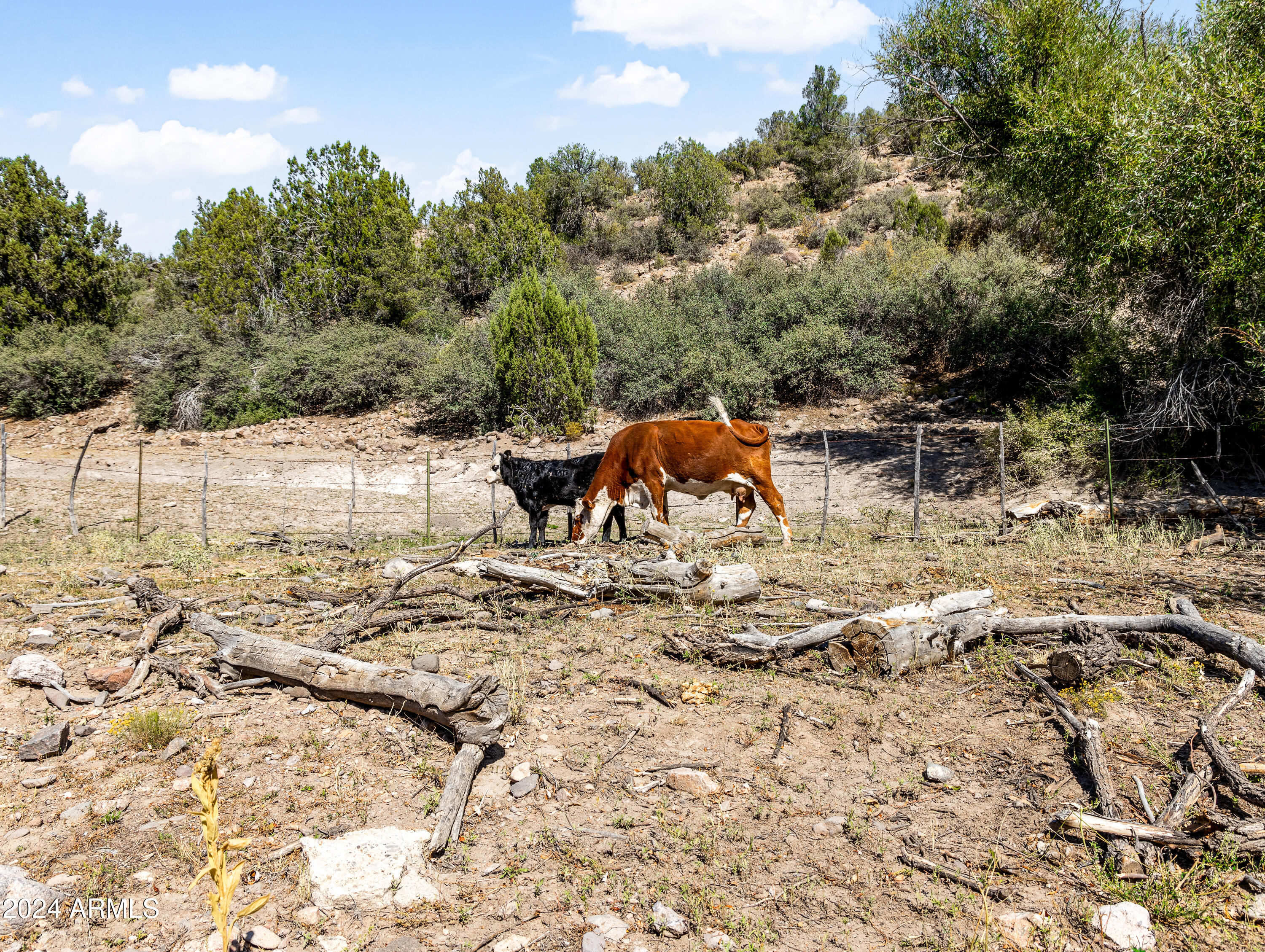 4820 East Perkinsville Road Chino Valley, AZ 86323 - Photo 109 of 128 Day 2-74