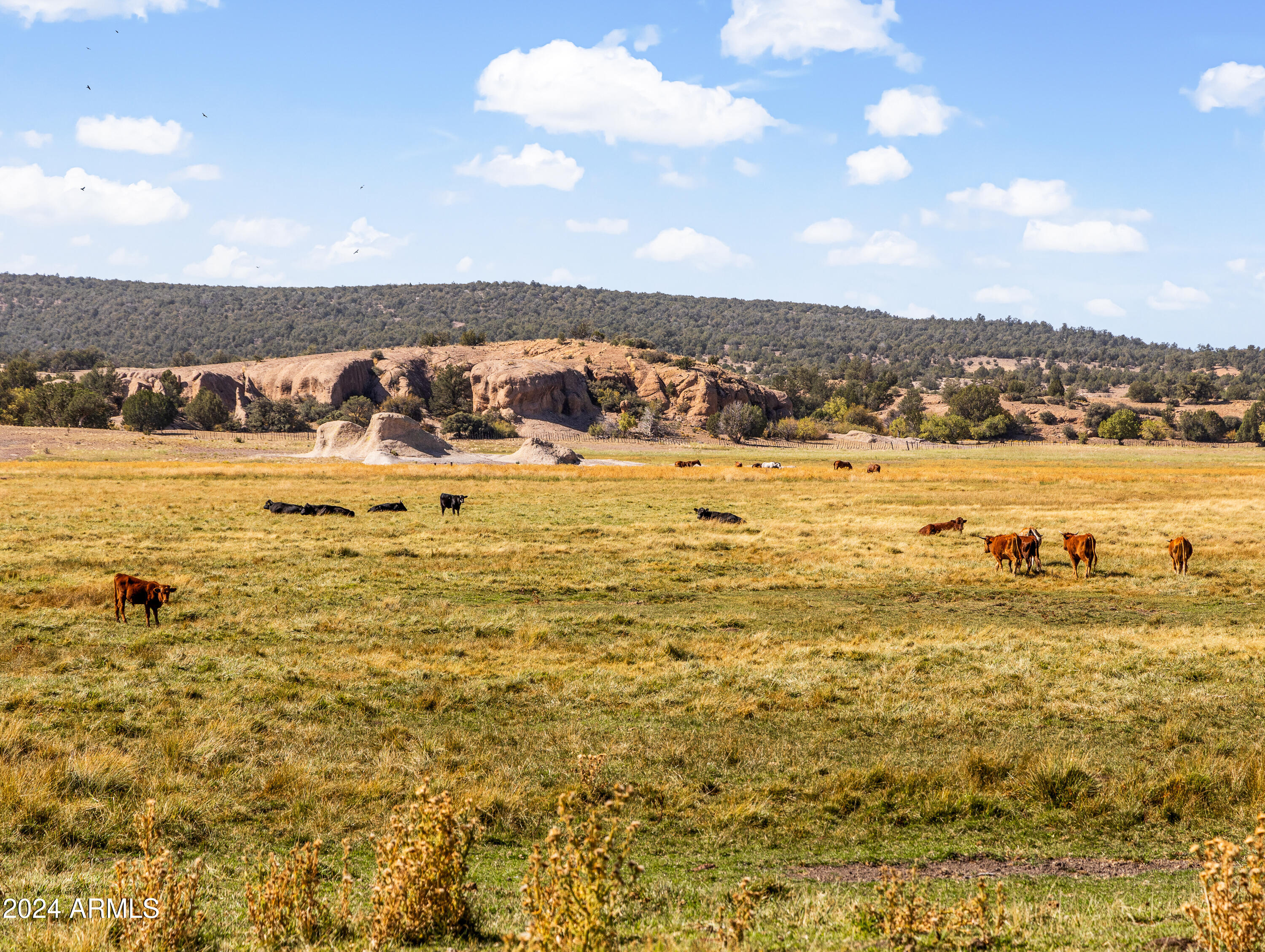 4820 East Perkinsville Road Chino Valley, AZ 86323 - Photo 111 of 128 Day 2-80