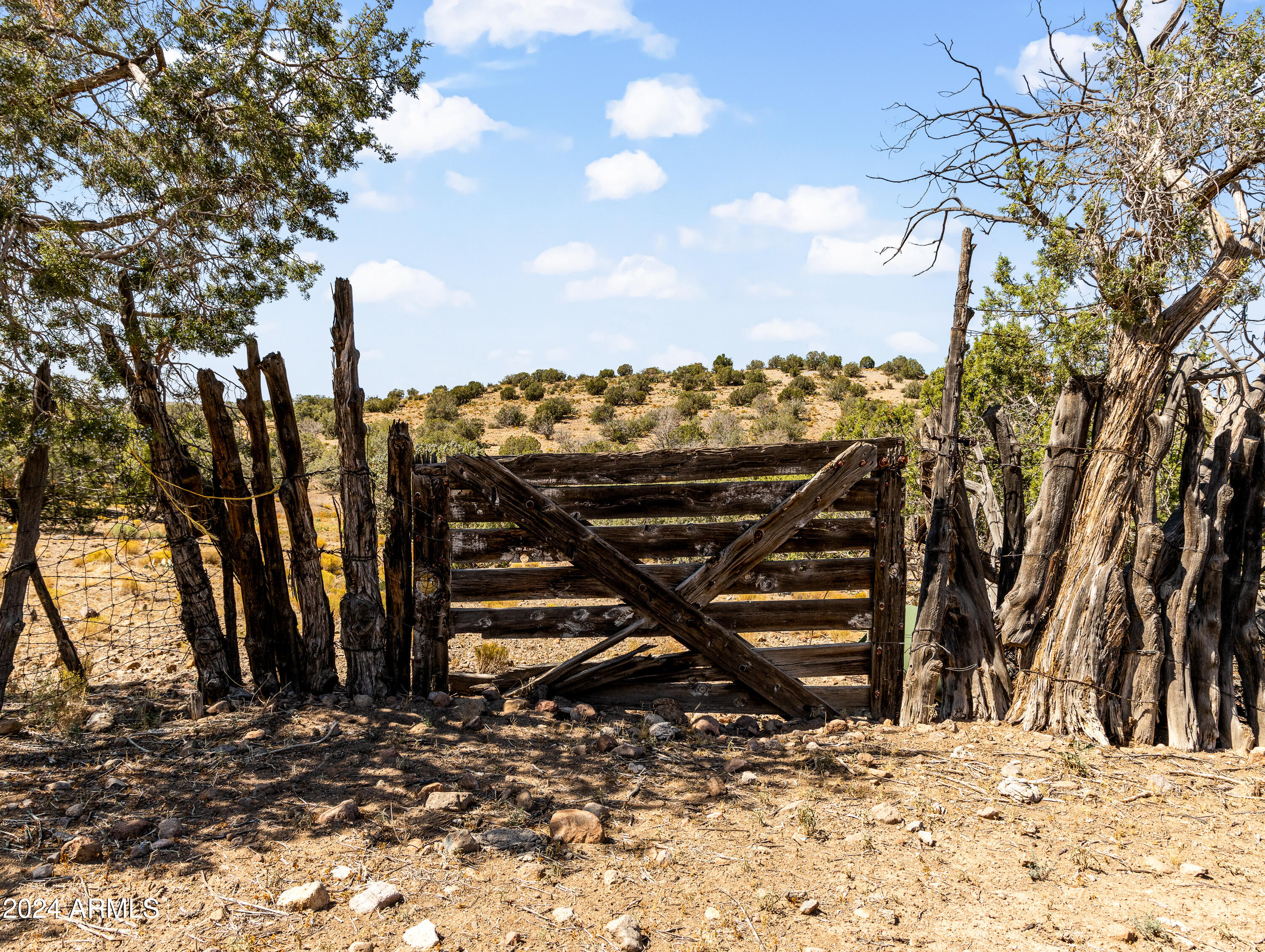 4820 East Perkinsville Road Chino Valley, AZ 86323 - Photo 113 of 128 Day 2-41